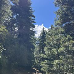 RAINBOW BAR 🍻 User Photo