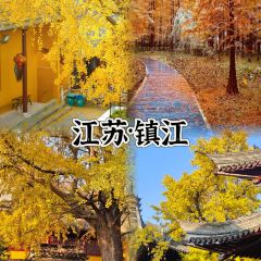 Laotaipo Restaurant (zhaoxia) User Photo