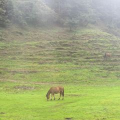 铁路坝小吃街 User Photo