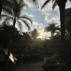 西波魚莊張用戶圖片