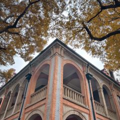 The China Harvest 여행 사진