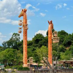 大燚果木燒鵝·明爐頭牌清遠雞（山湖城店）張用戶圖片