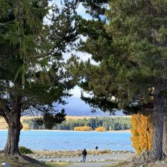 Ramen Tekapo User Photo