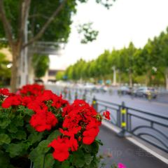 小八仙·精品川菜(源著店) User Photo