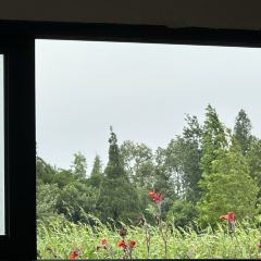 Fanpu Life User Photo