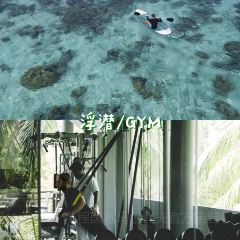 Sea Underwater Restaurant at Anantara Kihavah 여행 사진