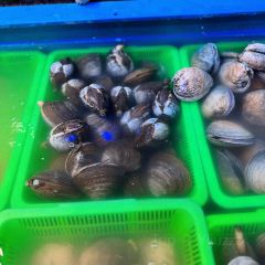 无桥洞海鲜烧烤(总店) User Photo