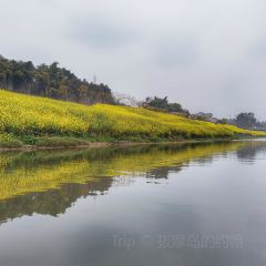 徐大姐家常菜 User Photo