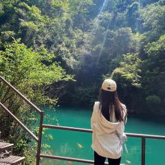 404Brunch&Bistro User Photo