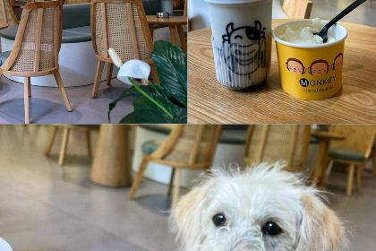 鸿馥养生豆浆鸡火锅(弥勒店)