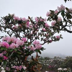 梨园三道菜 User Photo