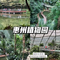 古仔小海鮮張用戶圖片