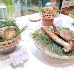 湖泉水云间餐厅(A座店) User Photo