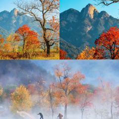 Sage Hall Homestay User Photo