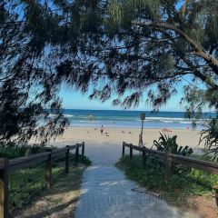 Noosa Heads Surf Life Saving Club User Photo