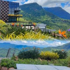Pino Latte Resort & Cafe張用戶圖片