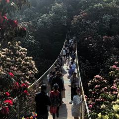 烙锅小院 User Photo