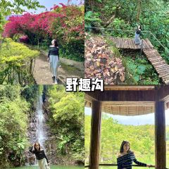 春沐源咖啡厅 User Photo