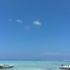 Arena Beach Restaurant User Photo