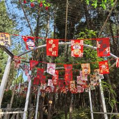 XIANG BA LI NONG GU LE User Photo