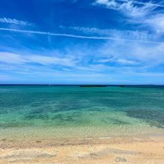 Nakamura Soba User Photo