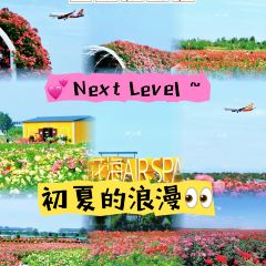 云间花境餐厅 User Photo