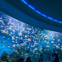 九里羊汤馆(鼓楼园林店) User Photo