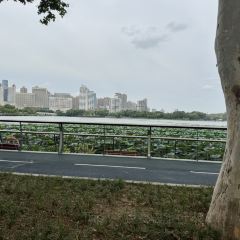 Tyler's Brunch User Photo