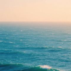 孟家烧鸡·美食盛宴(南京路店) User Photo