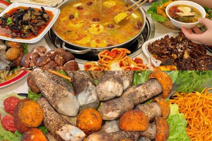 豪哥野生菌牦牛肉土鸡汤锅火锅(康定老城店)