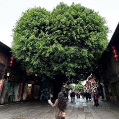 Da Fu Xing Yu Wan (Mei Shi Jie) User Photo