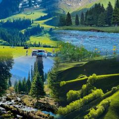 牧羊爷爷·新疆文化菜 User Photo