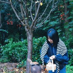 遂宁首座万豪酒店·大堂吧 User Photo