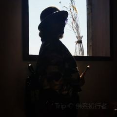 飞茑集樢咖啡 User Photo