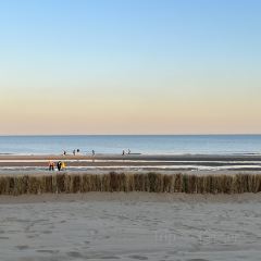 Bar Lotus User Photo