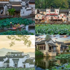 Cheng kan mao dou fu User Photo