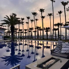 Malibu Farm Zushi Marina Restaurant User Photo