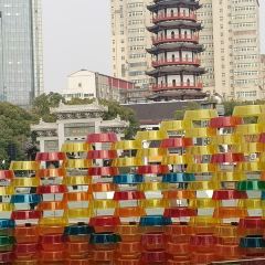 QI ZHI WEI LU ROU JUAN User Photo