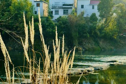 府子小餐厅(解放街店)