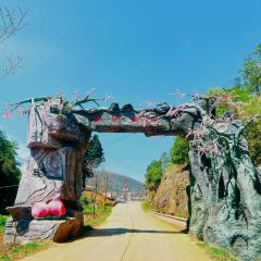 桃花岛农庄 User Photo