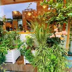 爱屋冰甜&吉屋料理 User Photo