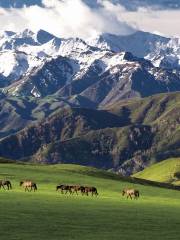 Barluk Tourist Scenic Area