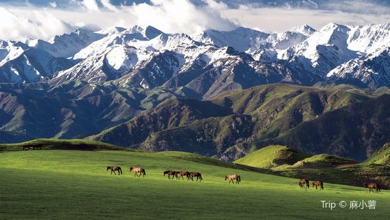 Barluk Tourist Scenic Area