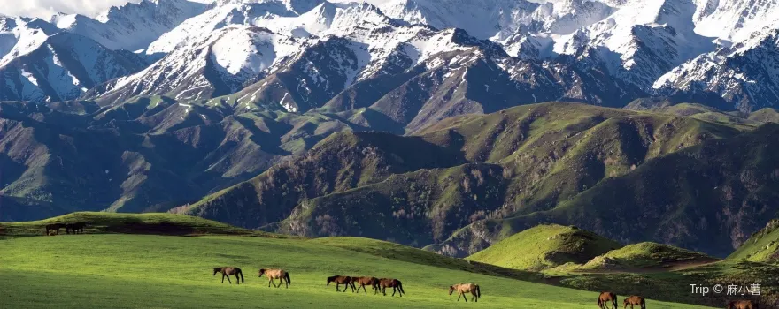 Barluk Tourist Scenic Area