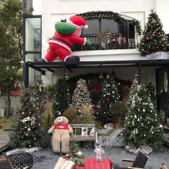 24H color咖啡廳張用戶圖片