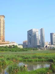 Ecological pond of Wetland