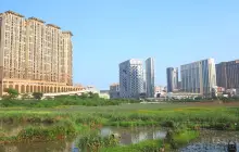 Ecological pond of Wetland