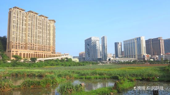 Ecological pond of Wetland