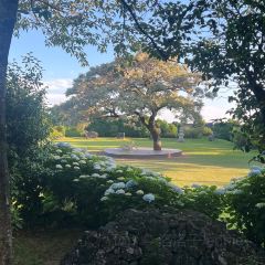 Manor Blanc User Photo