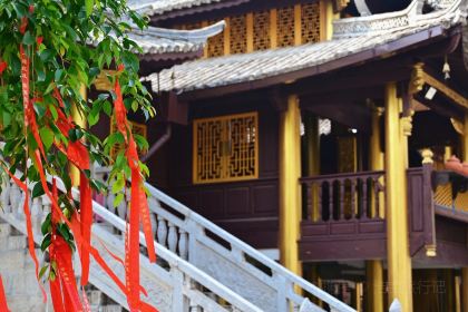 芒市天然活螃蟹